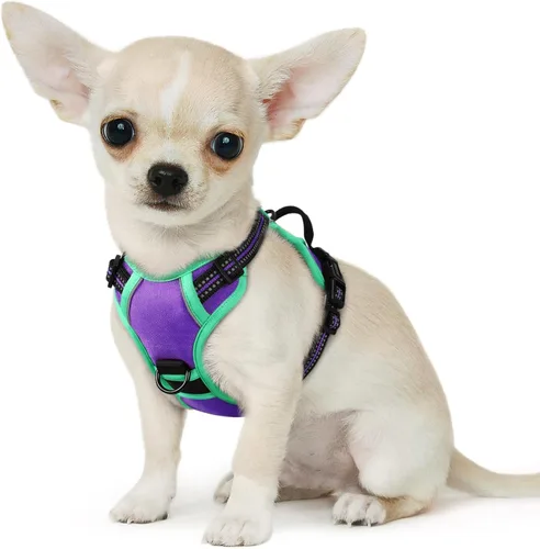 Vista 41 de Eagloo Arnés para perro pequeño, sin tirones, chaleco de servicio con tiras reflectantes y asa de control, ajustable y cómodo para caminar, arnés
