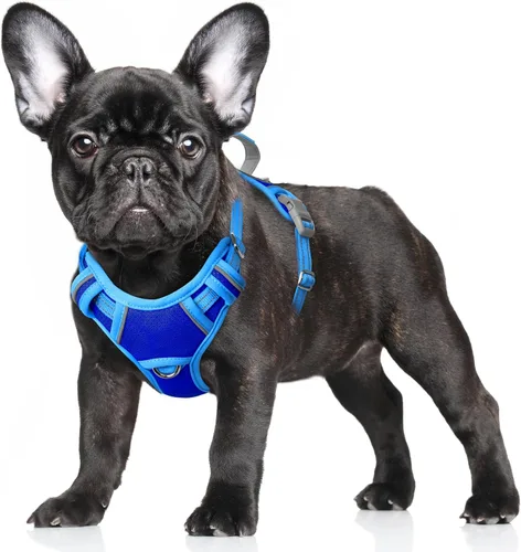 Vista 63 de BARKBAY Arnés para Perro Sin Tirones Talla Grande Arnés Reflectante para Perro con Clip Frontal y Asa de Control Fácil para Caminar Entrenar Correr