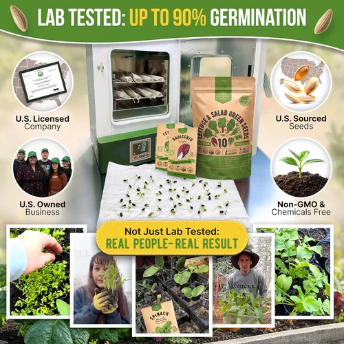 Vista 2 de Organo Republic Paquete de Variedad de 10 Semillas de Lechuga y Verduras para Ensalada 13000+ Semillas de Lechuga Reliquia Sin OMG para Plantar