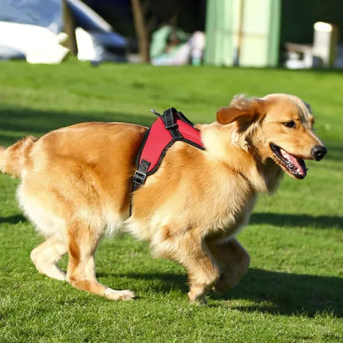 Vista 10 de Arnés ajustable reflectante sin tirones con asa para perro, chaleco Oxford duradero sin estrangulamiento, arnés fácil de poner para perros pequeños