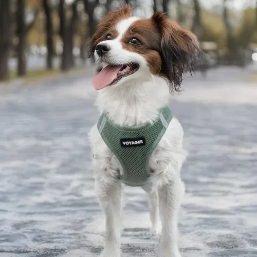 Vista 7 de Best Pet Supplies Voyager Step-In Air - Arnés para mascotas con entrada por las patas, malla para todo tipo de clima, reflectante, arnés sin tirón