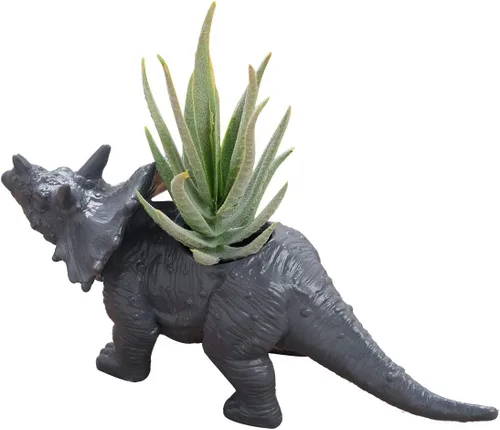 Vista 4 de Aislor Maceta suculenta con forma de dinosaurio con bandeja de drenaje, florero multiusos para bonsái, maceta creativa de cactus con orificio