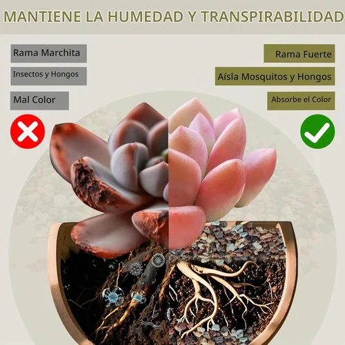 Vista 7 de Mezcla de piedras de lava de 12 libras para plantas, tierra