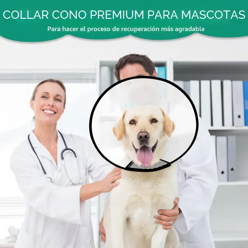 Vista 6 de GLADOG Collar de cono suave para perro, 3 piezas (XL es solo 1 unidad) cono de plástico flexible para perros después de la cirugía, collar