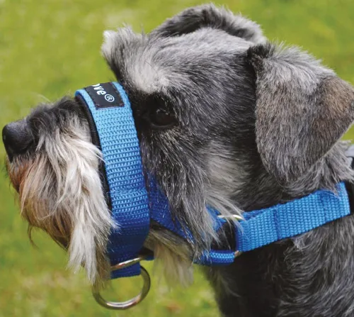 Vista 3 de Collar con bozal para perro, color azul , Azul