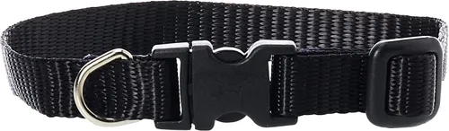 Vista 14 de LupinePet Basics - Collar ajustable rojo de 1/2 pulgadas, 10-16 pulgadas, para perros pequeños