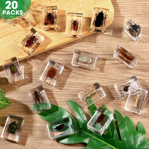 Vista 2 de Juego de 20 muestras de insectos en resina, colección de insectos, pisapapeles, arácnidos, resina de arácnidos, diferentes tipos o tamaños, insecto