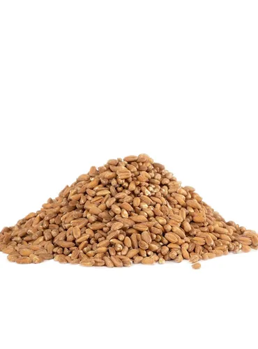 Vista 3 de Bob's Red Mill Grano Farro orgánico, 24 onzas (paquete de 4)