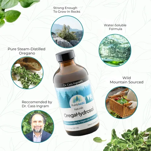 Vista 5 de PURELY WILD Dr. Cass Ingram's OregaHydrosol - Jugo de orégano mediterráneo salvaje para apoyo inmunológico, salud respiratoria y digestiva, sin OMG