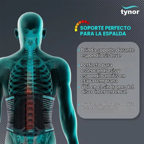 Vista 2 de TYNOR Cinturón de Soporte para la Espalda Ajustable Corsé para la Espalda para Dolor de Espalda Baja, Cinturón de Soporte Lumbar Transpirable
