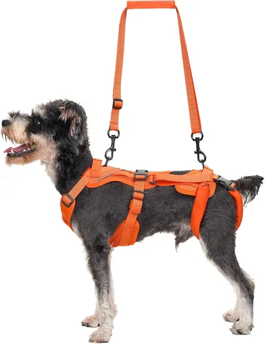 Vista 10 de OneTigris Arnés de elevación para perros pequeños XS, arnés transportador para perros pequeños, chaleco de elevación de cuerpo completo con correas