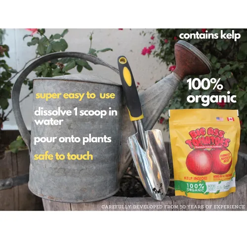 Vista 5 de Big A Tomato Fertilizante orgánico prémium con algas marinas de 13.5 onzas para interiores y exteriores, fertilizante para plantas