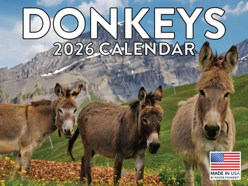 Vista 47 de Calendario mensual de pared de alpaca 2025 Fabricado en Estados Unidos
