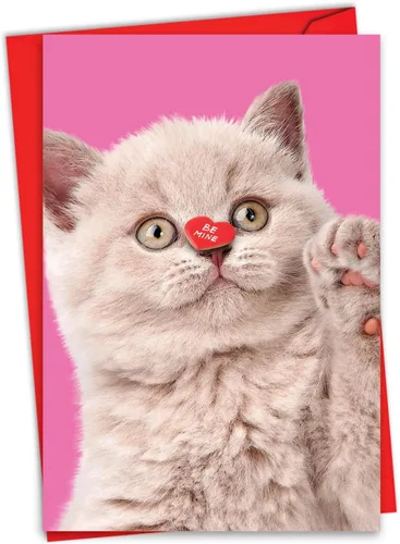 Vista 9 de NobleWorks Tarjeta de felicitación del día de San Valentín con sobre de 5 x 7 pulgadas para hombres, mujeres y parejas (1 tarjeta) caja de gato