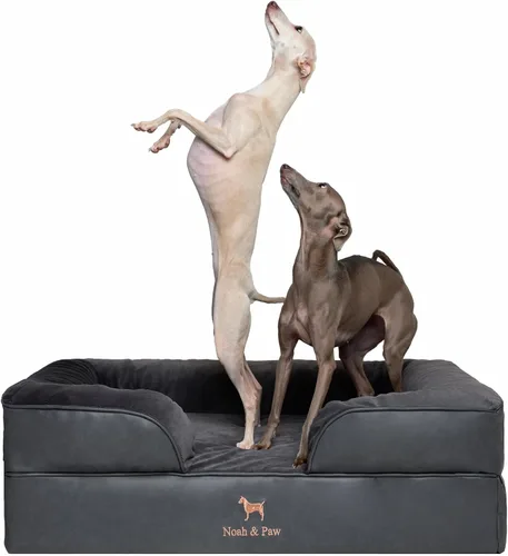 Vista 34 de NOAH & PAW Cama para perros pequeños, 20 x 15 x 8 pulgadas, cama para gatos de interior, espuma viscoelástica ortopédica de cáscara de huevo
