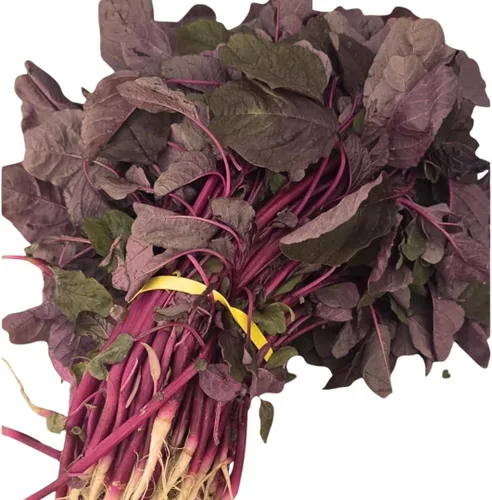 Vista 2 de Red Amaranth Lal Tuktuki Seeds - Bangladeshi Lal Shak Amaranthus Tricolor Vegetal de hoja roja de rápido crecimiento Microverdes y semillas