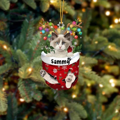 Vista 34 de Adorno personalizado de gato de rizo americano, adorno personalizado con nombre de mascota, colgante acrílico plano impreso en 2D, Papá Noel y gato