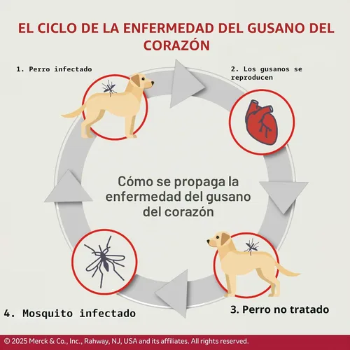 Vista 5 de TRI-HEART PLUS Tableta masticable para perros, 51-100 libras (caja marrón), 6 tabletas masticables, suministro para 6 meses
