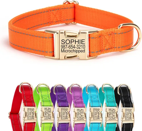 Vista 7 de Collar de perro de nailon reflectante personalizado con etiqueta de nombre Collares de perro con hebilla dorada grabados personalizados Collar