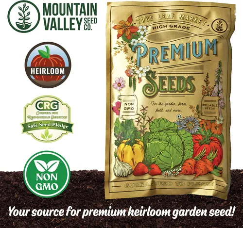 Vista 5 de Semillas de mostaza de granate gigante japonés para plantar, 1 libra ~ 224,000 + semillas, ideal para verduras bebé, ensaladas, rojo púrpura