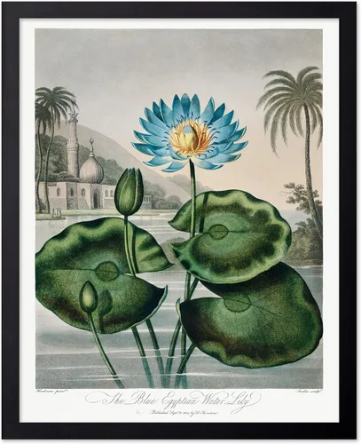 Vista 82 de Poster Master Póster clásico, impresión expresionista vintage, regalo para artistas, amigos, animales en un recinto, horquilla, abstracto, cubismo