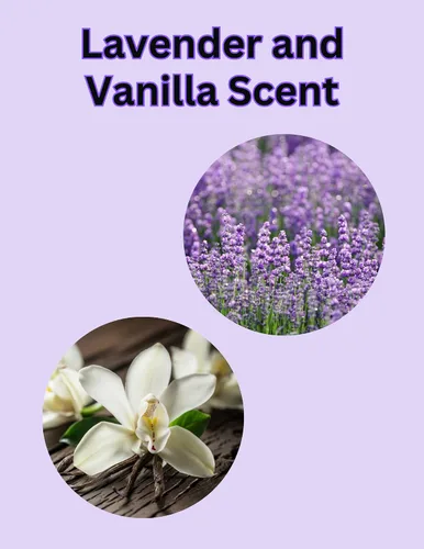 Vista 2 de Power Stick Lavender Vanilla Desodorante para mujer, sin aluminio, 2.5 onzas, paquete de 2