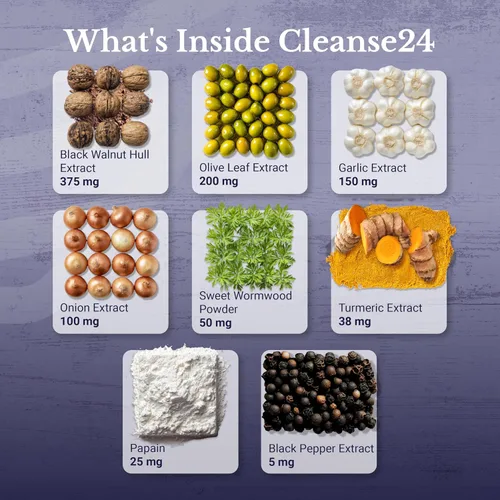 Vista 3 de Cleanse24 - Limpieza intestinal para humanos con ajenjo, papaya, nogal negro, limpieza intestinal a base de hierbas, limpieza intestinal