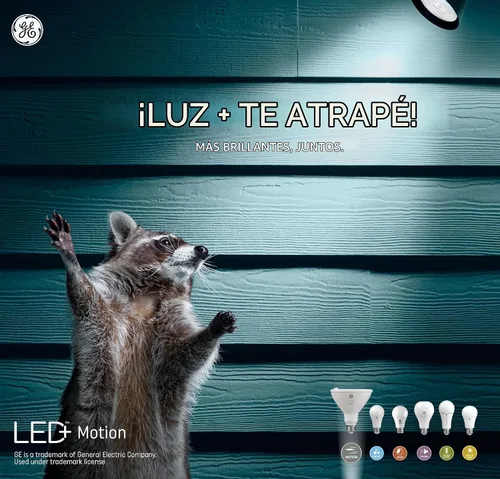 Vista 6 de GE Lighting LED+ - Bombilla de seguridad para exteriores con sensor de movimiento, blanco cálido, ajuste del atardecer al amanecer, base media