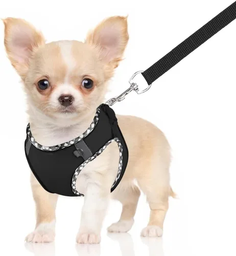 Vista 2 de Arnés para perro para perros pequeños y medianos sin tirones, ajustable para cachorros, arnés de malla transpirable reflectante para mascotas