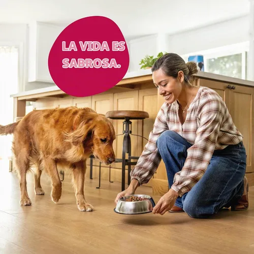 Vista 6 de Kibbles 'n Bits Bistro - Alimento seco para perros, sabor a carne asada al