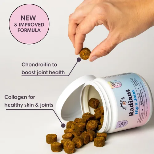 Vista 2 de Bundle x Joy Suplemento radiante de apoyo para cadera y articulaciones para perros, 90 masticables suaves, glucosamina condroitina para perros