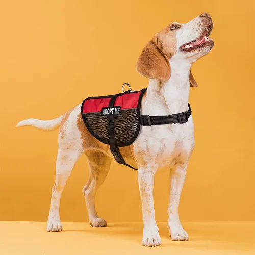 Vista 26 de Dogline MaxAire - Chaleco de malla para perros de 13 a 16 pulgadas y 2 parches extraíbles Adopt Me, talla S, color negro