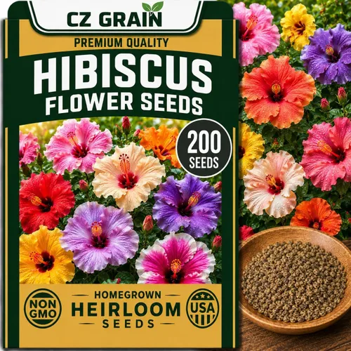 Vista 33 de CZ Grain Semillas para plantar, 40 pequeñas mezclas de calabaza