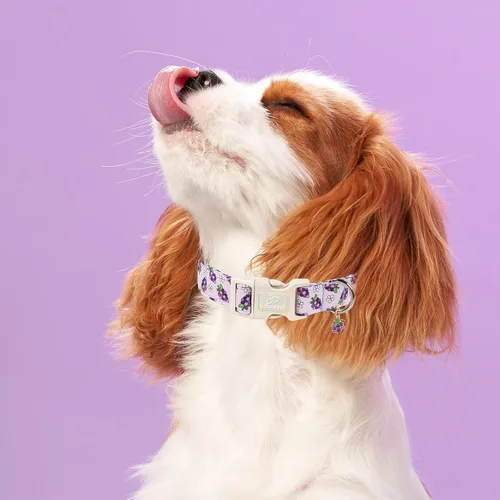 Vista 350 de Collar para perros del 4 de julio, collares patrióticos azules para cachorros y perros pequeños, ligero y ajustable 1776 collares para cachorros