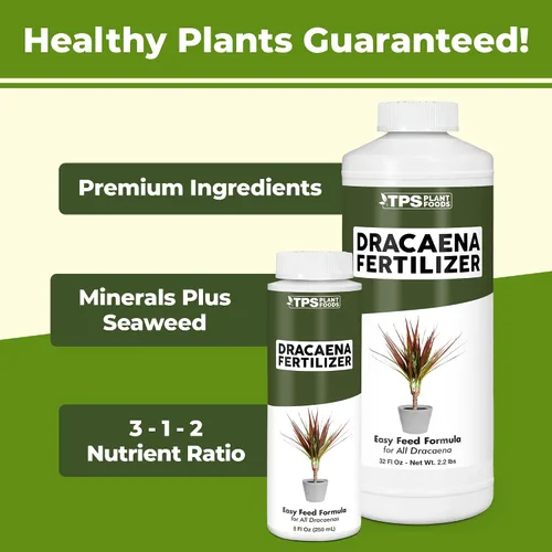 Vista 2 de Dracaena Fertilizante - Alimento líquido vegetal para hojas verdes ricas y crecimiento fuerte de la caña, 8 onzas