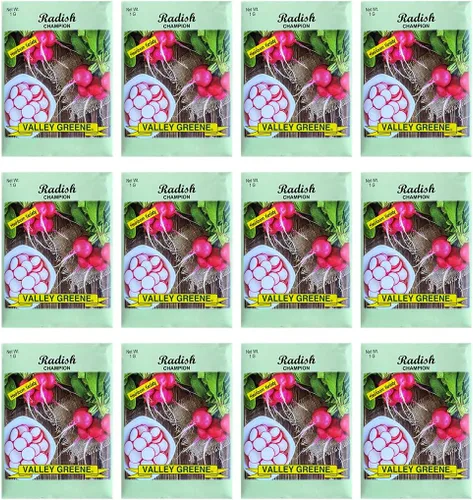 Vista 7 de Juego de 12 paquetes de semillas de verduras de roqueta de rúcula, crea un jardín de lujo, todas las semillas son reliquias, 100% sin OMG