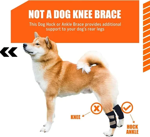 Vista 3 de Dog Knee Brace for ACL, Arthritis & Injury - 2 Pack Adjustable Dog Leg Support Wrap with Reflective Strips, Breathable & Elastic Dog Knee Pads for