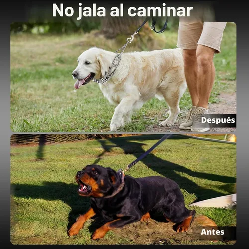 Vista 7 de DEYACE Collar ajustable de acero inoxidable para perros