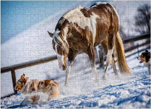 Vista 7 de MyPuzzle American Paint Horse On Snow - Rompecabezas de 100 piezas para adultos