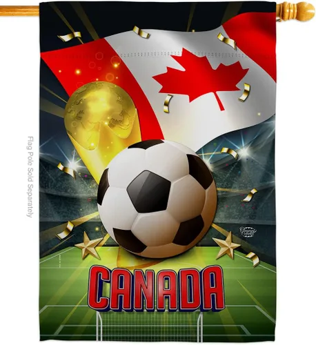 Vista 38 de Bandera del equipo de la Copa Mundial de la FIFA 2022 con bandera de Argentina para decoración del hogar al aire libre, arte de pared