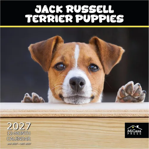 Vista 69 de MICASA PRESS Calendario de pared de Australian Shepherds Aussies 2027 02 - Pastores australianos