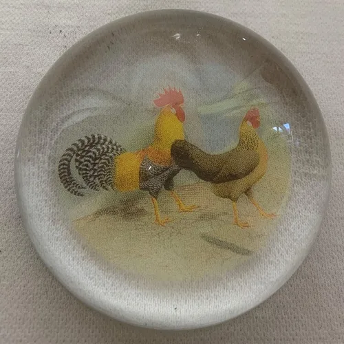 Vista 2 de Pisapeles de cristal redondo (gallinas de granero)