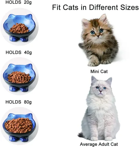 Vista 3 de Nihow Ceramic Basic Cat Bowls: cuenco para gatos de 5 pulgadas para alimentos y agua Food Grade Cat Dish for Small-Sized Cat - Microwave &