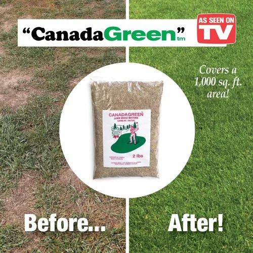 Vista 2 de Canada Green Grass Seed - Bolsa de 2 libras, marrón