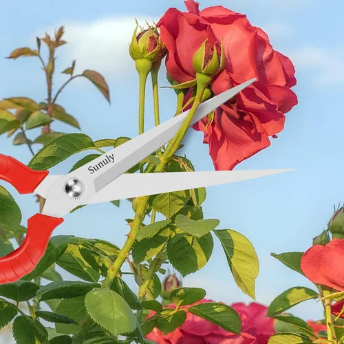Vista 5 de Tijeras de podar extralargas, podadoras manuales de jardinería con cuchillas de acero inoxidable, tijeras de jardín para arreglar flores, recortar