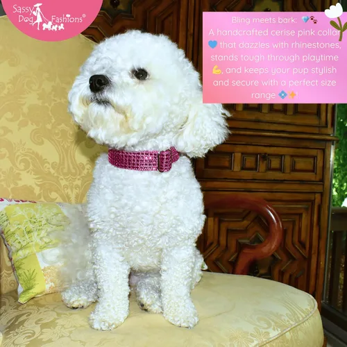 Vista 3 de Collar de perro con diamantes de imitación brillantes, hebilla grabada y opciones de correa, hecho a mano en Estados Unidos, collares de perro