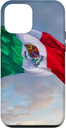 Vista 16 de iPhone 16 Mexico Flag Graphic Mexican Case