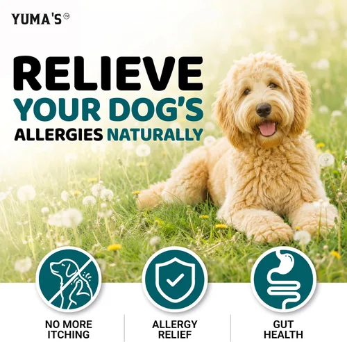 Vista 6 de Masticables para aliviar la alergia de los perros - 240 tratamientos
