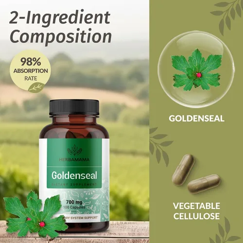 Vista 4 de HERBAMAMA Goldenseal - Cápsulas de raíz de 700 mg - Sistema respiratorio y apoyo inmunológico con suplemento en polvo de sello dorado, vegano, sin