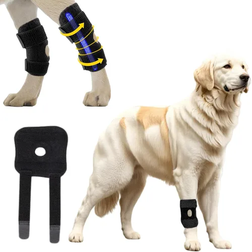 Vista 9 de Rodillera para perro para curar heridas de perro, protector de codo de perro, tratamiento para artritis, alivio del dolor, lesiones de ligamentos